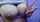 camgirl amateur latina