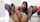 camgirl asian latina