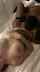 big boobs pale bbc