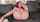 camgirl pussy black cock