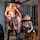 digital playground porn ad
