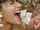facial cumshot brunette