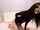 camgirl small tits petite