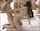 jav orgy horny