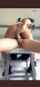 black hair cum creampie