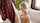 eva elfie blowjob titjob