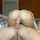 hot big ass big cock