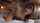 jav japanese doggystyle