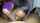 ball sucking ebony blowjob