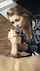 babe blond handjob