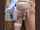 blonde creampie behind