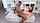 jav amateur big tits