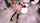 kitchen jav threesome