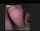 big ass big dick pawg