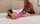 bbc cuckold hotwife