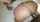 bed dildo interracial