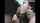 ebony blowjob sucking