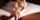 handjob cumshot missionary