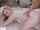 threesome brunette blonde
