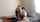blonde creampie interracial