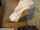 milf pov mature