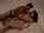 jav japanese vintage