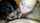 threesome hot lesbians