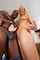 blonde milf blacked
