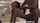 hair pull brunette hair pulling
