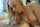 blond naughty hot