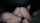 threesome tits bisexual