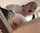 amateur schoolgirl teen