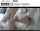 camgirl amateur blowjobs