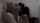 lesbian kissing bdsm