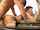 milf mature doggy