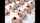 orgy jav japanese