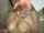 jav amateur big tits