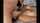 teen deepthroat cam
