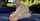 pale blonde outside