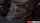stepdaughter teen sneaky