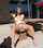 outdoor pussy nude