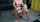 camgirl blonde big tits