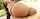 anal big ass interracial
