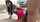 amateur doggystyle cute