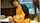 cam girl bbw couple