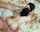 petite doggystyle teen