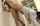 asians japanese jav