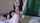 teen amateur stripping