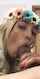 blowjob blonde latina