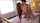 jav japanese asian